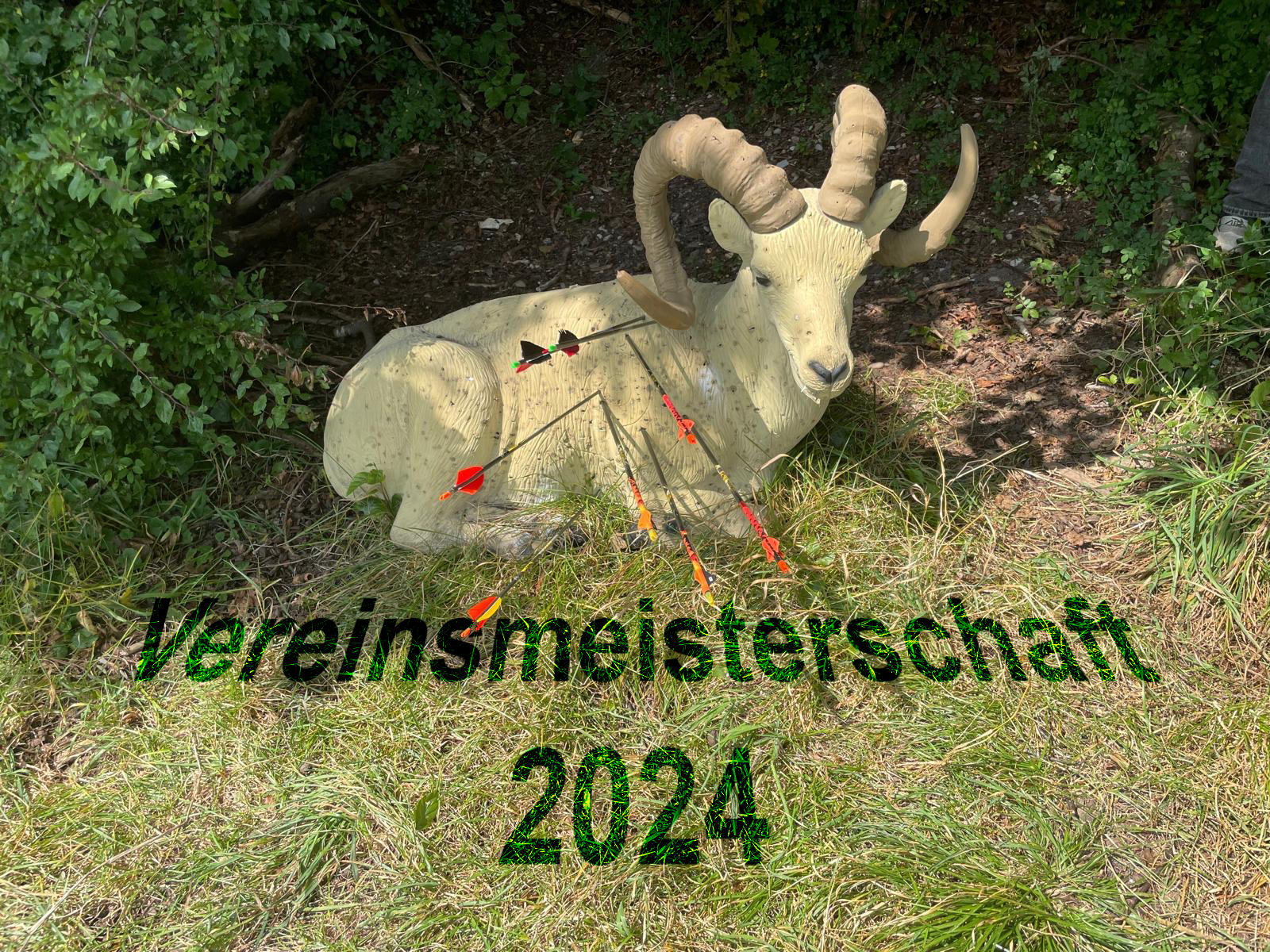 Mehr über den Artikel erfahren Vereinsmeisterschaft 3D 2024 Waltenhofen