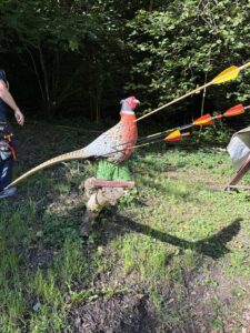 Mehr über den Artikel erfahren Strahlendes Wetter, gute Stimmung und viele Sieger – unser Vereinsturnier auf dem 3D-Parcours